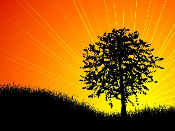 Albero al tramonto — Vettoriale Stock