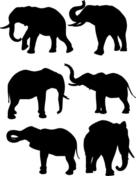 Éléphants — Image vectorielle