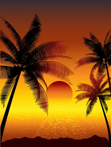 Coucher de soleil tropical — Image vectorielle