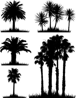 tropik ağaç silhouettes