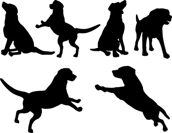 Dog silhouettes — Stock Vector