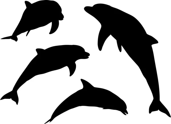 Delfínové siluety — Stockový vektor