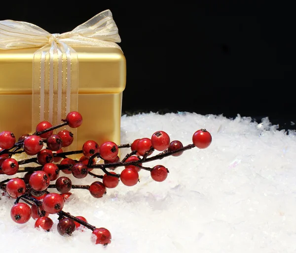 Weihnachtsgeschenk und Beeren — Stockfoto