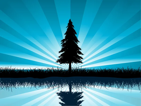 Solitary fir tree — Stock Vector