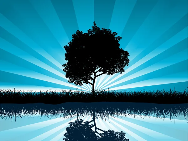 Tree silhouette — Stock Vector