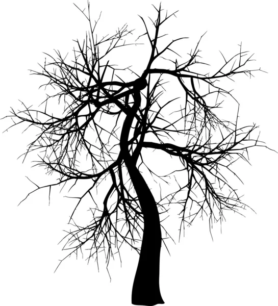 冬树 — 图库矢量图片