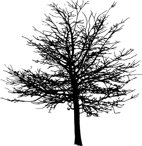 Arbre d'hiver — Image vectorielle