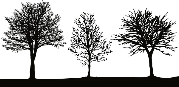 冬の木 — ストックベクタ