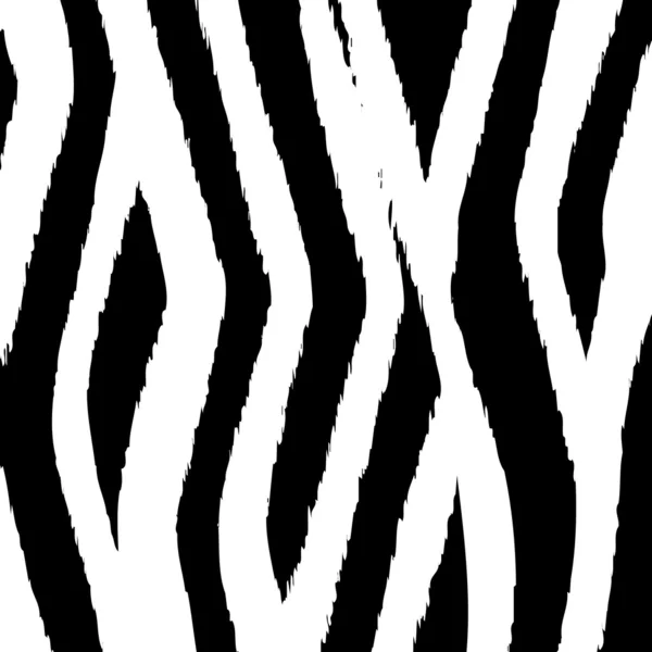 Fundo de zebra —  Vetores de Stock