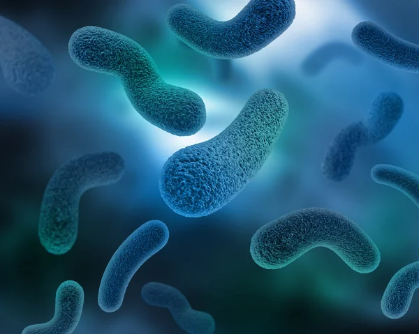 microbios y bacterias in english