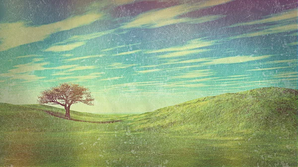 Paysage en herbe et ciel avec effet vintage rétro — Photo