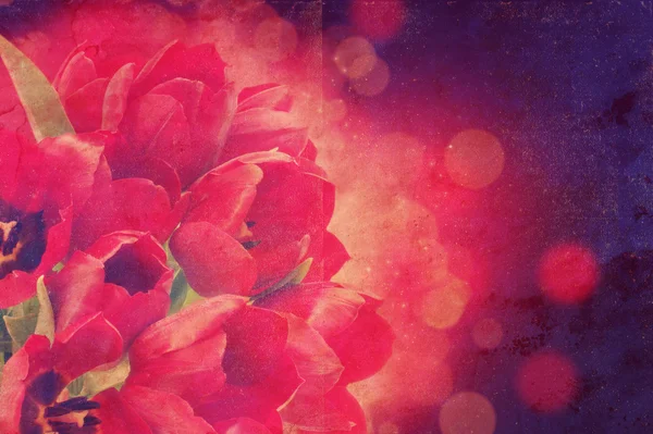 Vintage Tulpen Hintergrund — Stockfoto