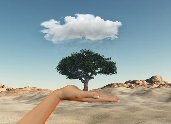 Hand holding tree under a rain cloud against a desert — Stock Photo, Image