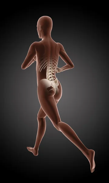 Running female medical skeleton — Stock Photo, Image