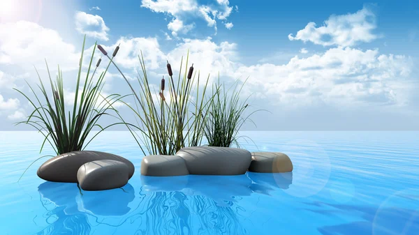 Rocks and reeds on water — Stock Photo, Image