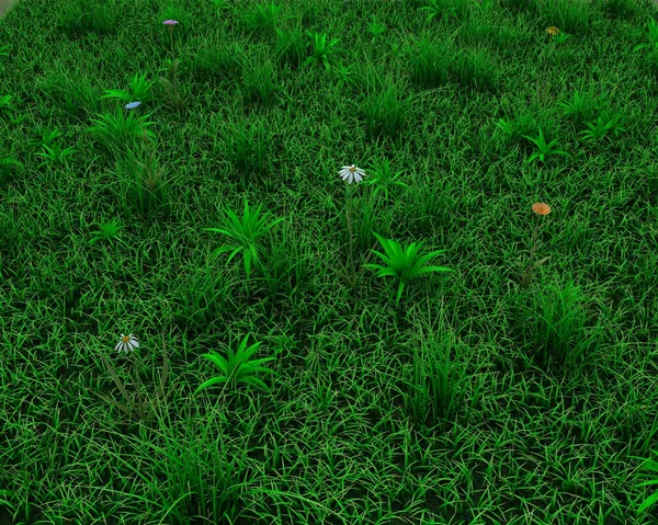 Spring grass and flowers background — Stock Photo, Image