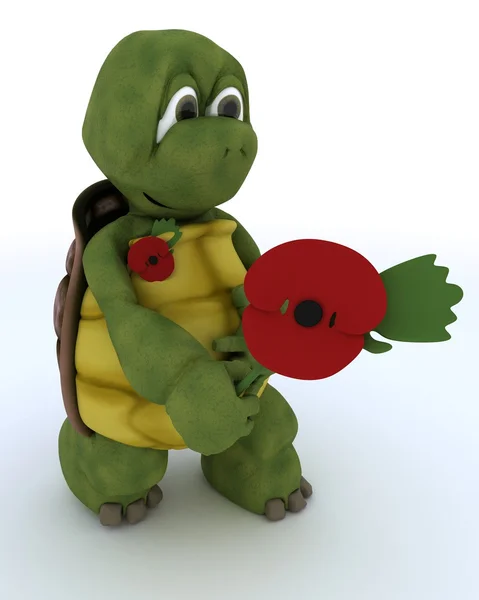 Tortoise with poppy in rememberance — Stock Photo, Image