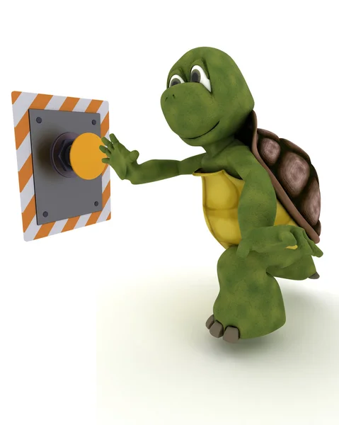 Bir butona basarak tortoise — Stok fotoğraf