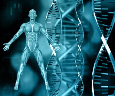 DNA iplikçikleri ve kas haritalı erkek figürlü üç boyutlu tıbbi arkaplan çizimi