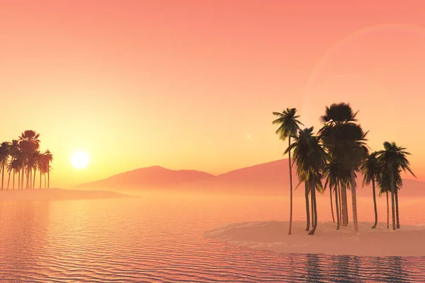 3D渲染热带风景 在夕阳西下有棕榈树 — 图库照片
