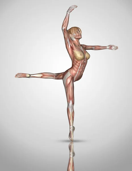 Render Female Medical Figure Ballet Pose — Stock Photo, Image