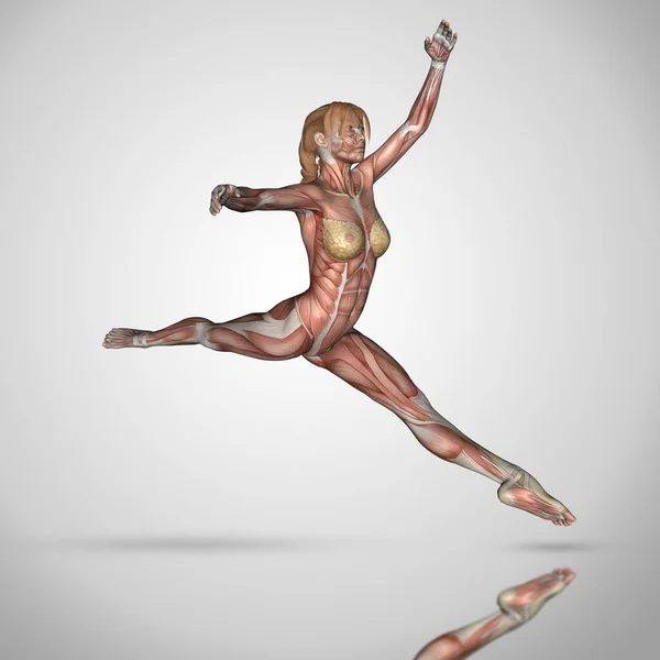 Representación Una Figura Femenina Pose Ballet Con Texturas Mapa Muscular — Foto de Stock