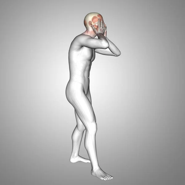 Representación Una Figura Médica Masculina Sosteniendo Cabeza Con Músculos Resaltados —  Fotos de Stock