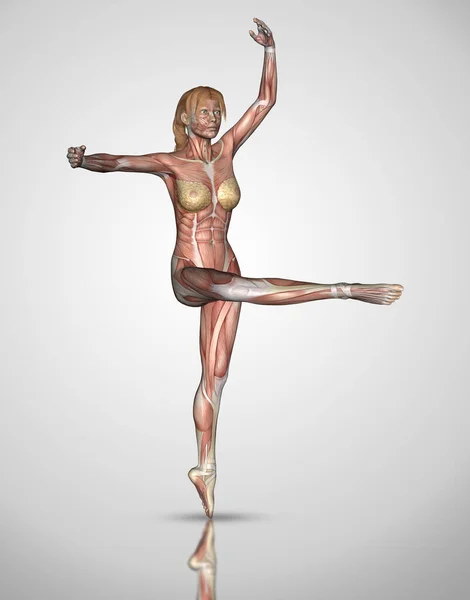 Render Female Figure Ballet Pose Muscles Highlighted — Stock Photo, Image