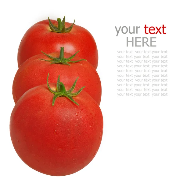 Свежие помидоры, изолированные на белом — стоковое фото