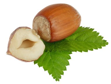 Beyaz arkaplanda yaprakları izole edilmiş filbertler