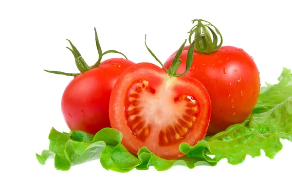 Tomates fraîches isolées sur blanc — Photo