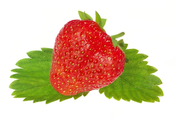 Φράουλες που απομονώνονται σε λευκό — Φωτογραφία Αρχείου