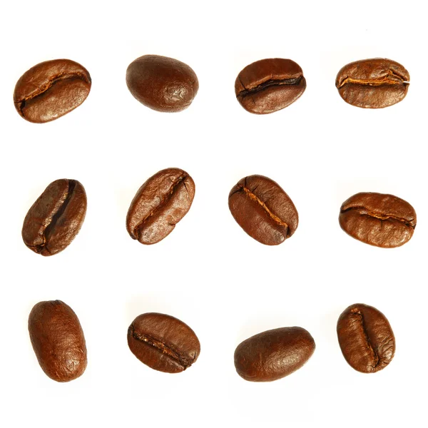 Kaffebönor. Isolerad på vit bakgrund — Stockfoto