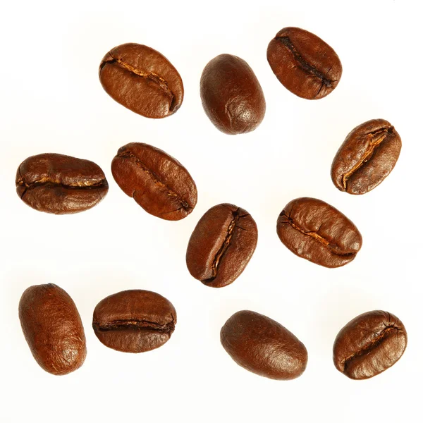 咖啡豆因白人背景而被隔离 — 图库照片