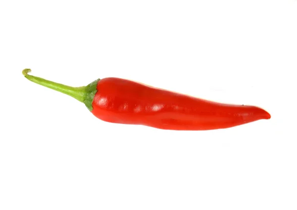 Red hot chili pepper on white — Stock Photo, Image