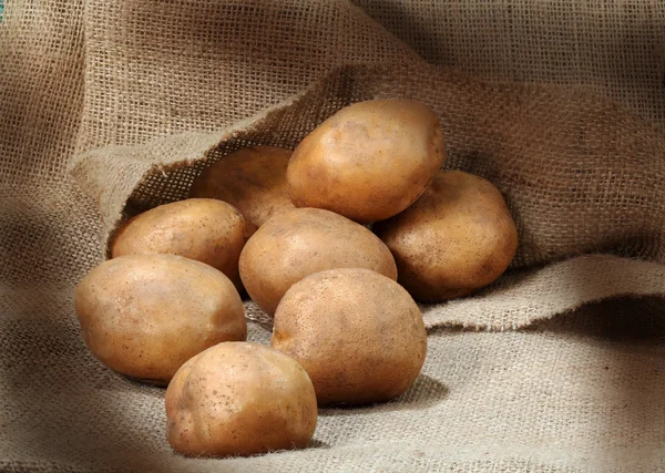 Patates.