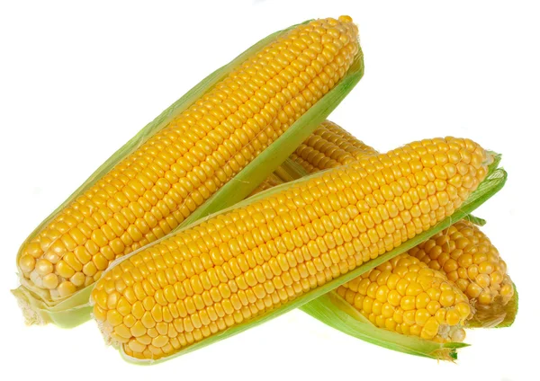 Una mazorca de maíz aislada sobre un fondo blanco —  Fotos de Stock
