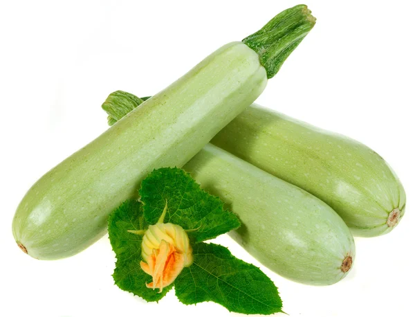 Fresh vegetable marrow . Isolated on white — Stock Photo, Image