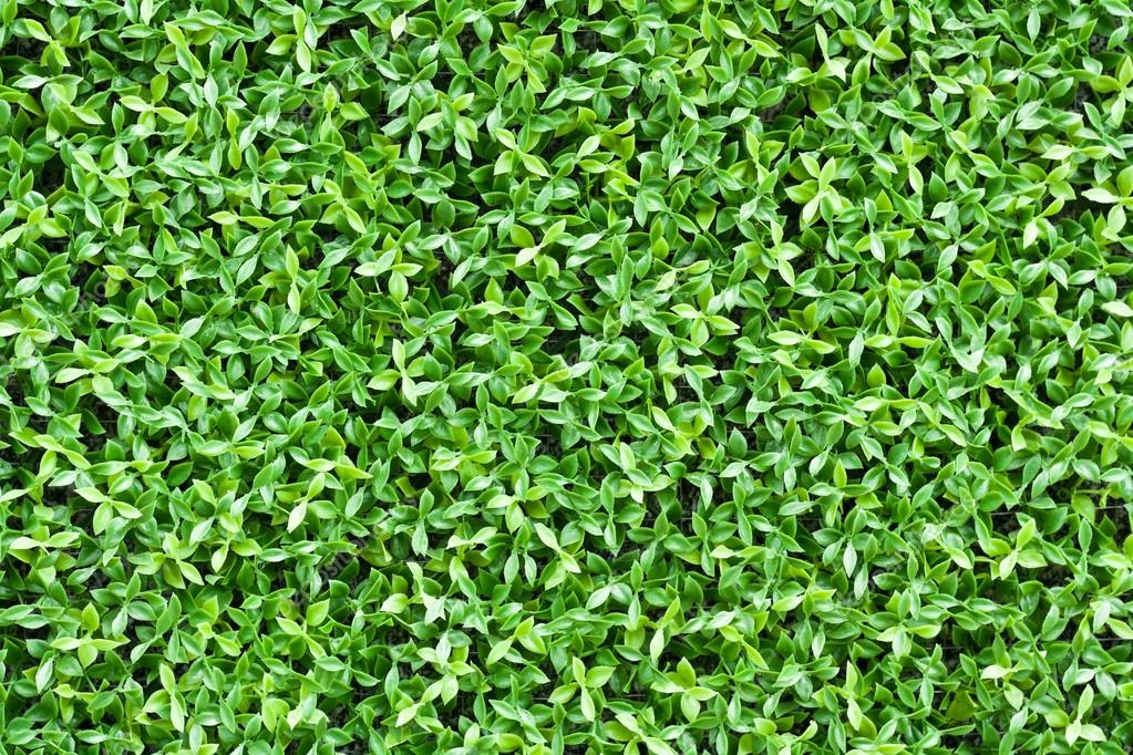 Artificial tiny green leaves texture Stock Photo by ©sritangphoto 13168745
