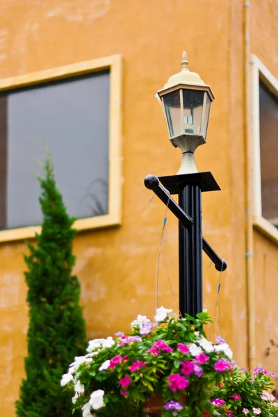 Flower pots hanging on the light pole — Stock Photo, Image