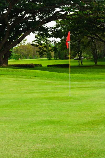 A red flag identifies the hole — Stock Photo, Image