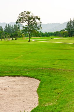 yeşil ve kum BUNKERİ