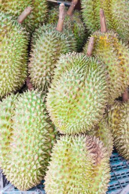 Durian, Kral meyve, meyve Tayland