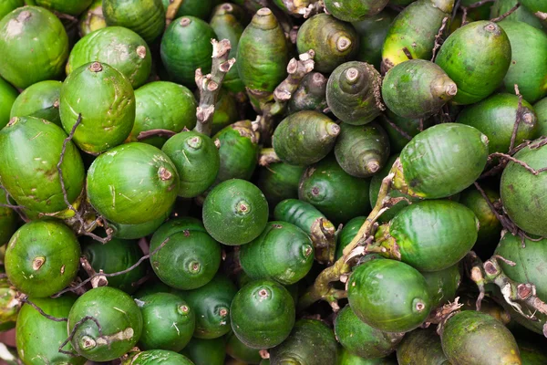 成熟的槟榔 — 图库照片