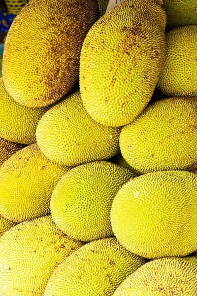 Jack fruit — Stock Photo, Image