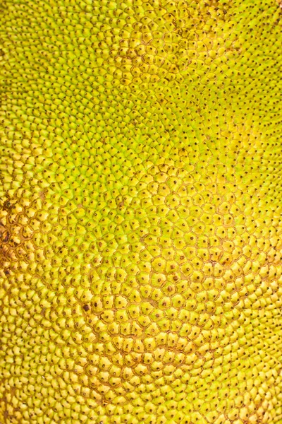 Closeup Of Textured Skin Of A Jack-fruit — Stock Photo, Image