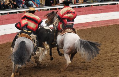 Rodeo Şili