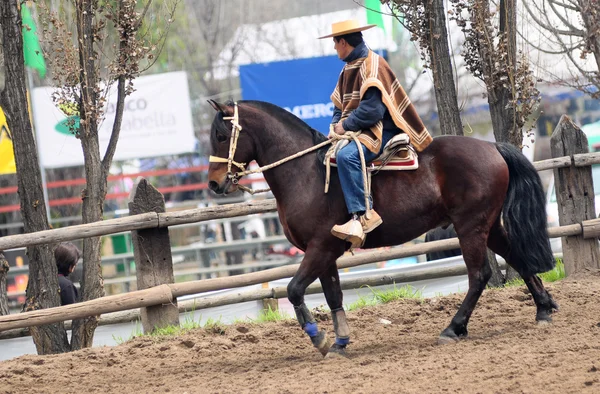 Rodeo w chile — Zdjęcie stockowe