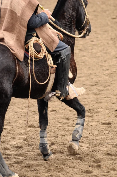 Rodeo w chile — Zdjęcie stockowe