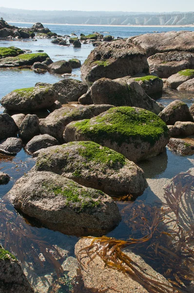 Algarrobo beach — Stok fotoğraf